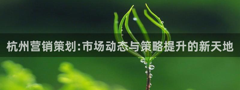 必赢网站网址是多少