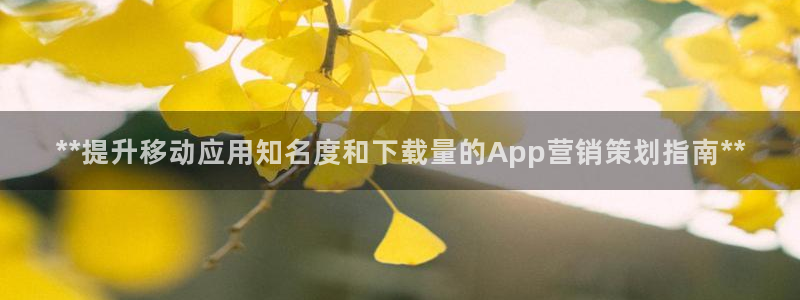 必赢网站mg冰球突破豪华版