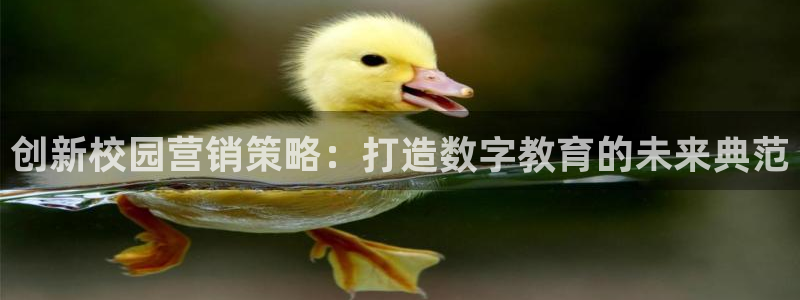 必赢网站是多少啊