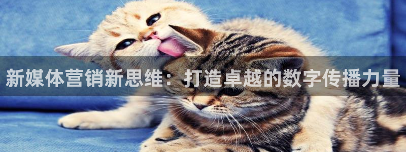 必赢app客户端下载官网