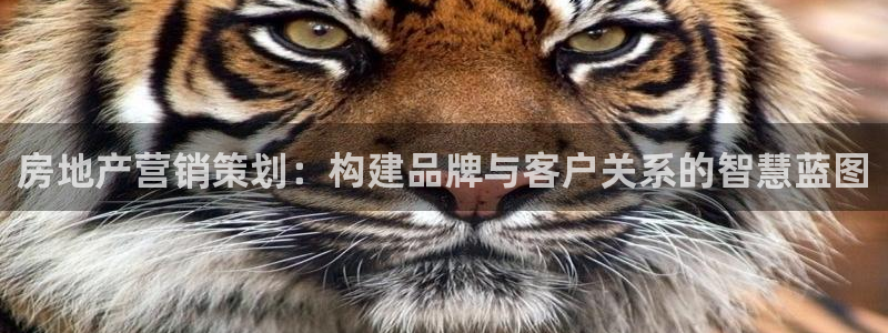必赢客官方：房地产营销策划：构