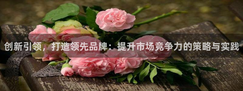 必赢客安卓版：创新引领，打造领