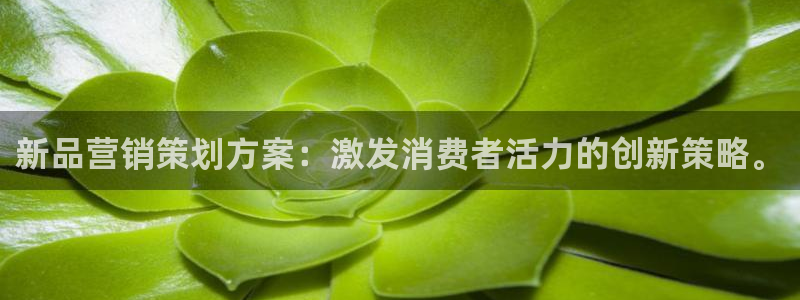 必赢平台官方网站：新品营销策划
