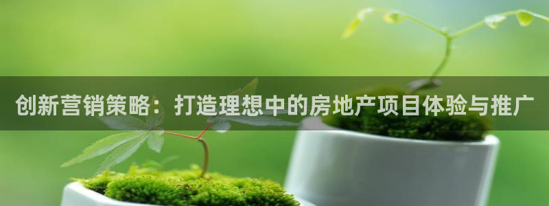 必赢手机app下载安装最新版：