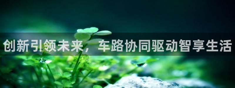 必赢官网网址多少号登录不了